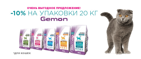 Gemon Корм Для Кошек Купить В Спб