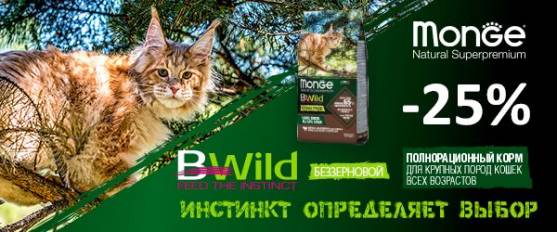 -25% на Monge Bwild Grain Free для крупных кошек