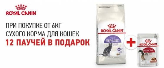 Паучи в подарок при покупке 6 кг корма Royal Canin для кошек!