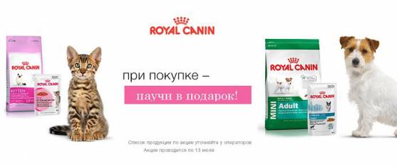 При покупке большой упаковки Royal Canin для собак и кошек влажный корм в подарок!