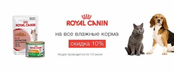 Скидка 10% на влажные корма Royal Canin!