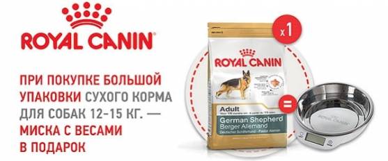 При покупке большой упаковки корма для собак Royal Canin - миска в подарок!