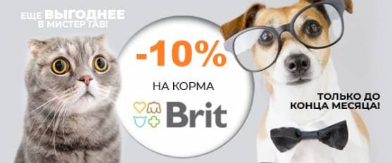 Скидка 10% на Brit Premium