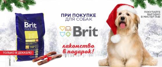При покупке Brit для собак 15 или 18 кг - лакомство в подарок!
