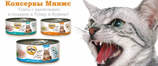 Супер-вкусы консервов Мнямс для кошек!