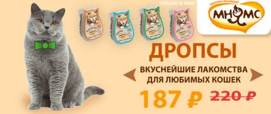Скидка 15% на вкуснейшие лакомства для кошек - Мнямс Drops