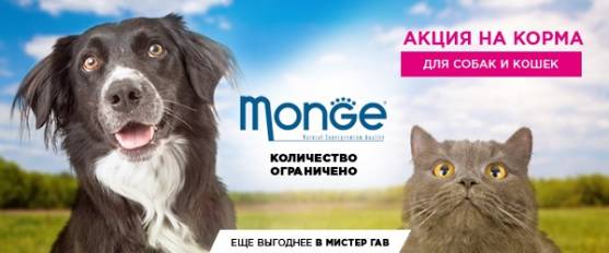 -10% на корма Monge для собак и кошек