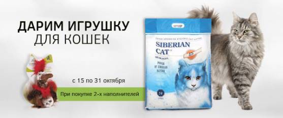 При покупке 2-х наполнителей Сибирская кошка  – игрушка в подарок!
