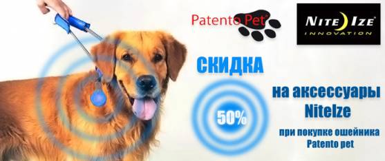 Nite Ize со скидкой 50% при покупке ошейника Patento Pet!