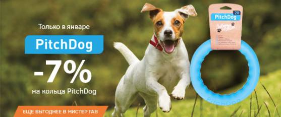-7% на кольца для собак PitchDog