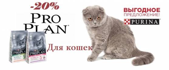 Супер-скидка 20% на корма для кошек Pro Plan!