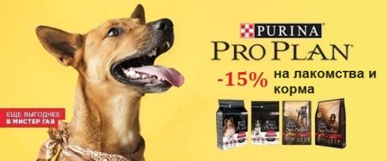 Скидка 15% на лакомства и корма для собак Pro Plan