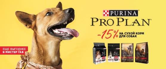 -15% на сухие корма Pro Plan для собак!
