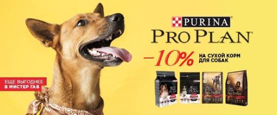 -10% на сухой корм Pro Plan для собак!