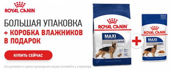 При покупке корма Royal Canin - паучи в ПОДАРОК!