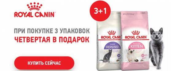 При покупке трех упаковок корма Royal Canin - 4-я в подарок!