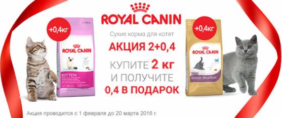 Упаковка 400 г в подарок при покупке 2 кг Royal Canin для котят!