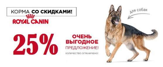 Скидка 25% на большие упаковки корма для собак Royal Canin!