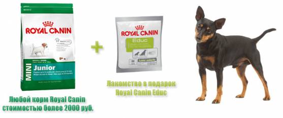 Лакомство Royal Canin Educ при покупке корма для собак!