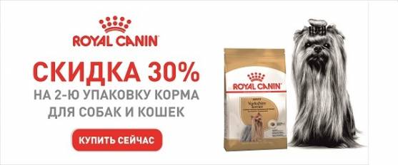 Скидка 30% на вторую упаковку породного корма Royal Canin 