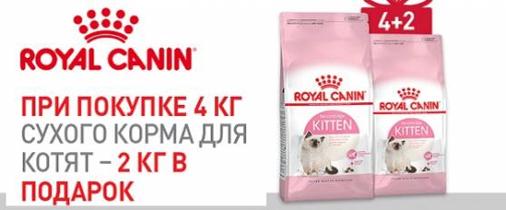 При покупке 4 кг Royal Canin для котят – 2 кг в подарок!