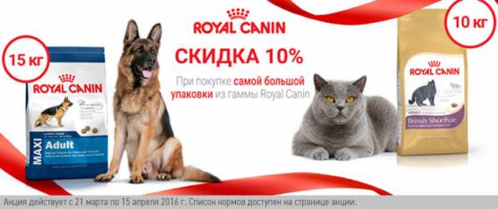 Скидка 10% на большие упаковки Royal Canin!
