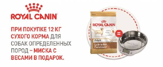 При покупке Royal Canin 12 кг для определенных пород - миска в подарок!