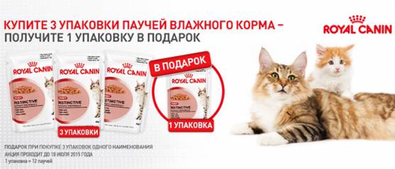 Royal Canin: паучи для котят и кошек 3+1