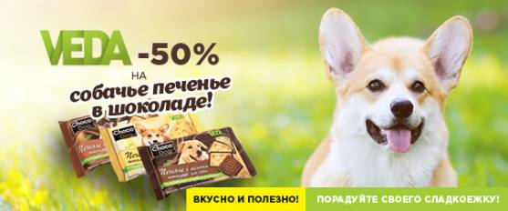 -50% на собачье печенье в шоколаде Choco Dog!