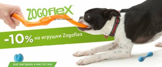 -10% на игрушки Zogoflex