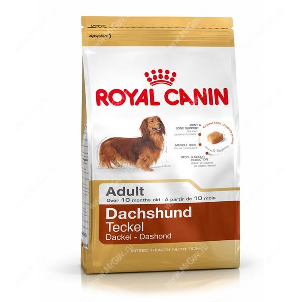 dachshund dog food royal canin