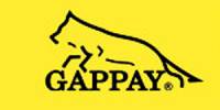 Логотип Gappay