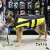 Фотография к отзыву - Спасательный жилет для собак Trixie, XL, желто-черный