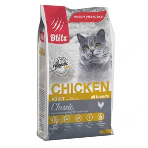 Blitz Chiken Cat