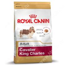 Royal Canin Cavalier King Charles