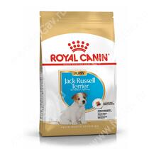Royal Canin Jack Russell Terrier Junior