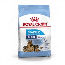 Royal Canin Maxi Starter, 4 кг