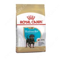 Royal Canin Rottweiler Junior