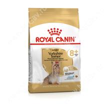 Royal Canin Yorkshire Terrier Ageing 8+